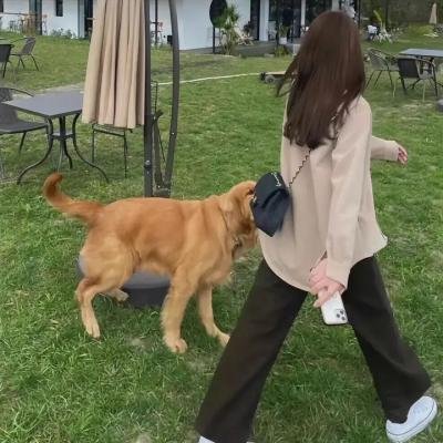 连体